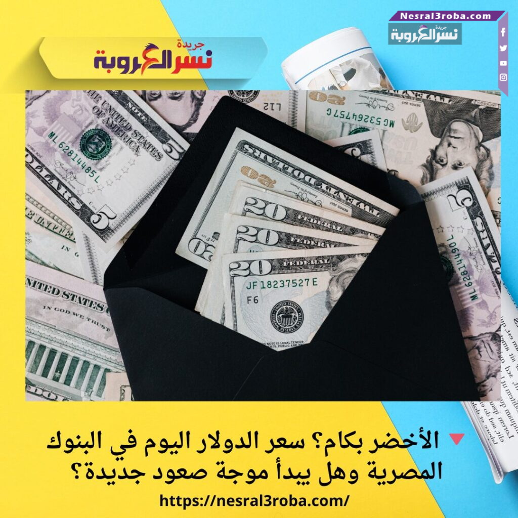 🔻 الأخضر بكام؟ سعر الدولار اليوم في البنوك المصرية وهل يبدأ موجة صعود جديدة؟