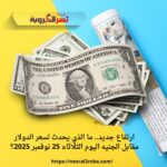 ارتفاع جديد.. ما الذي يحدث لسعر الدولار مقابل الجنيه اليوم الثلاثاء 25 نوفمبر 2025؟