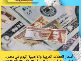 أسعار العملات العربية والأجنبية اليوم في مصر.. ماذا يحدث في سوق الصرف الثلاثاء 25-11-2025؟