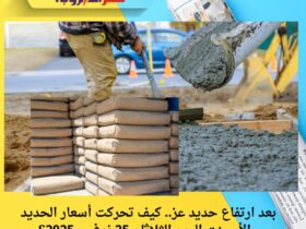 بعد ارتفاع حديد عز.. كيف تحركت أسعار الحديد والأسمنت اليوم الثلاثاء 25 نوفمبر 2025؟ 36 بعد ارتفاع حديد عز.. كيف تحركت أسعار الحديد والأسمنت اليوم الثلاثاء 25 نوفمبر 2025؟