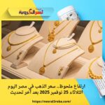ارتفاع ملحوظ.. سعر الذهب في مصر اليوم الثلاثاء 25 نوفمبر 2025 بعد آخر تحديث
