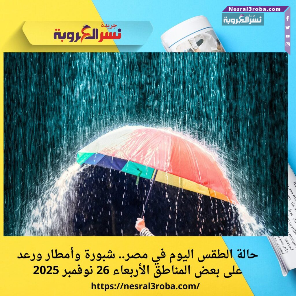 حالة الطقس اليوم في مصر.. شبورة وأمطار ورعد على بعض المناطق الأربعاء 26 نوفمبر 2025