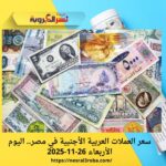 أسعار العملات اليوم الأربعاء 26 نوفمبر 2025 في مصر