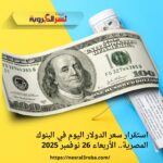 استقرار سعر الدولار اليوم في البنوك المصرية.. الأربعاء 26 نوفمبر 2025