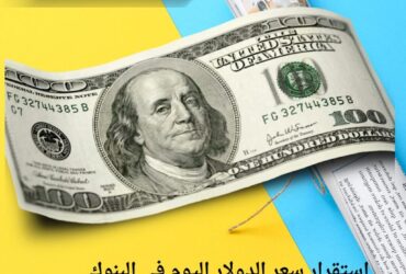 استقرار سعر الدولار اليوم في البنوك المصرية.. الأربعاء 26 نوفمبر 2025