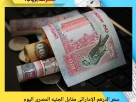 سعر الدرهم الإماراتي مقابل الجنيه المصري اليوم الخميس 27 نوفمبر 2025.. آخر تحديث