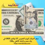 سعر الدولار اليوم الخميس 27 نوفمبر 2025 في بنك مصر والبنك الأهلي وCIB
