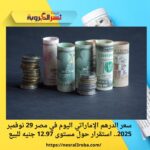 سعر الدرهم الإماراتي اليوم في مصر 29 نوفمبر 2025.. استقرار حول مستوى 12.97 جنيه للبيع