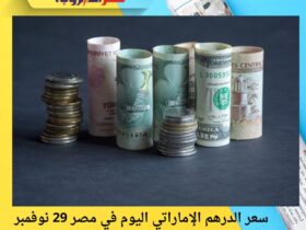 سعر الدرهم الإماراتي اليوم في مصر 29 نوفمبر 2025.. استقرار حول مستوى 12.97 جنيه للبيع