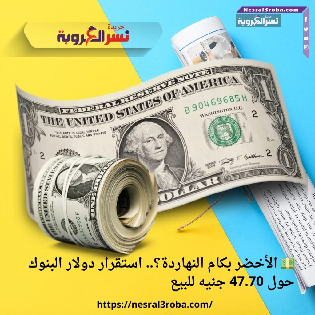 💵 الأخضر بكام النهاردة؟.. استقرار دولار البنوك حول 47.70 جنيه للبيع