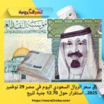 ﷼ سعر الريال السعودي اليوم في مصر 29 نوفمبر 2025.. استقرار حول 12.70 جنيه للبيع