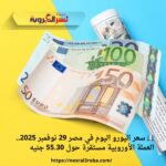 💶 سعر اليورو اليوم في مصر 29 نوفمبر 2025.. العملة الأوروبية مستقرة حول 55.30 جنيه