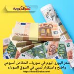 سعر اليورو اليوم في سوريا… انخفاض أسبوعي واضح واستقرار نسبي في السوق السوداء