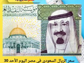 سعر الريال السعودي في مصر اليوم الأحد 30 نوفمبر 2025 30 سعر الريال السعودي في مصر اليوم الأحد 30 نوفمبر 2025