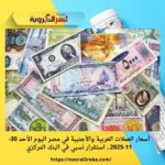 أسعار العملات العربية والأجنبية في مصر اليوم الأحد 30-11-2025.. استقرار نسبي في البنك المركزي