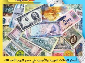 أسعار العملات العربية والأجنبية في مصر اليوم الأحد 30-11-2025.. استقرار نسبي في البنك المركزي 39 أسعار العملات العربية والأجنبية في مصر اليوم الأحد 30-11-2025.. استقرار نسبي في البنك المركزي