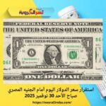استقرار سعر الدولار اليوم أمام الجنيه المصري صباح الأحد 30 نوفمبر 2025