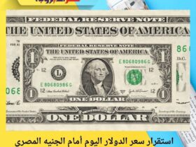 استقرار سعر الدولار اليوم أمام الجنيه المصري صباح الأحد 30 نوفمبر 2025 33 استقرار سعر الدولار اليوم أمام الجنيه المصري صباح الأحد 30 نوفمبر 2025