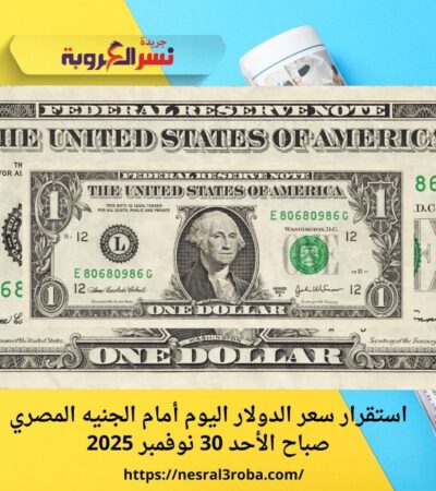 استقرار سعر الدولار اليوم أمام الجنيه المصري صباح الأحد 30 نوفمبر 2025