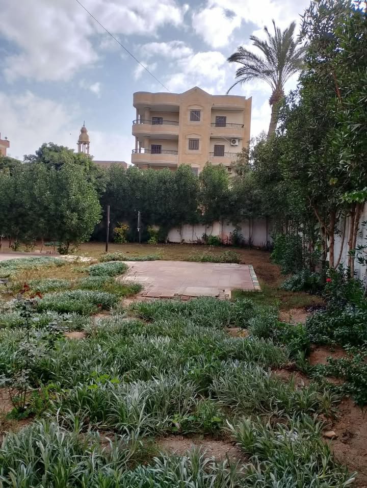 «مدير لا يُدير بالأوامر».. داخل مدرسة حكومية تُدار بعقل الجماعة لا الفرد 28 597749101 833037916183918 753549823072450454 n