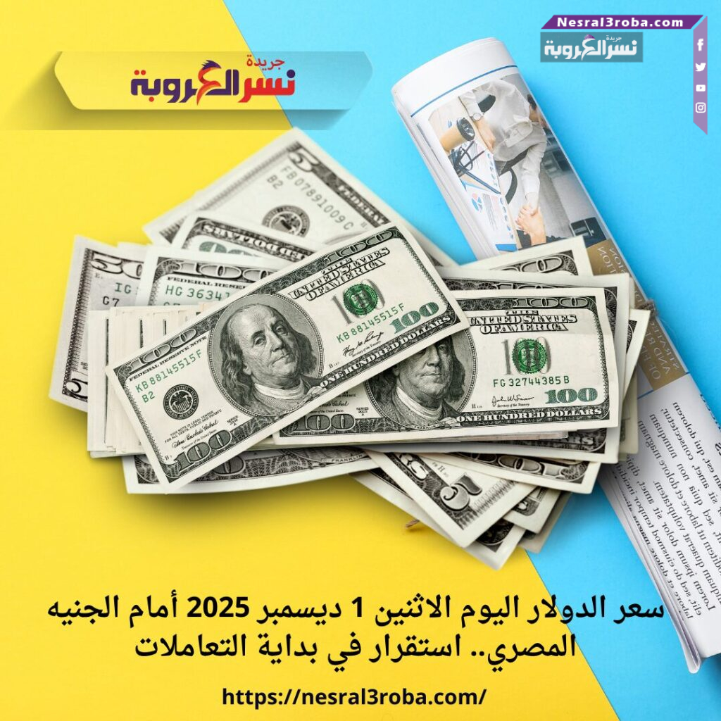 سعر الدولار اليوم الاثنين 1 ديسمبر 2025 أمام الجنيه المصري.. استقرار في بداية التعاملات