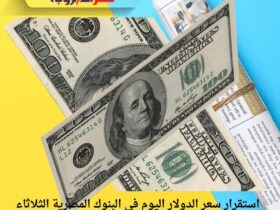 استقرار سعر الدولار اليوم في البنوك المصرية الثلاثاء 2 ديسمبر 2025