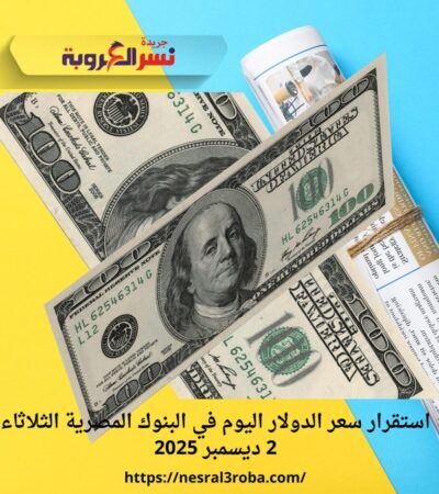 استقرار سعر الدولار اليوم في البنوك المصرية الثلاثاء 2 ديسمبر 2025