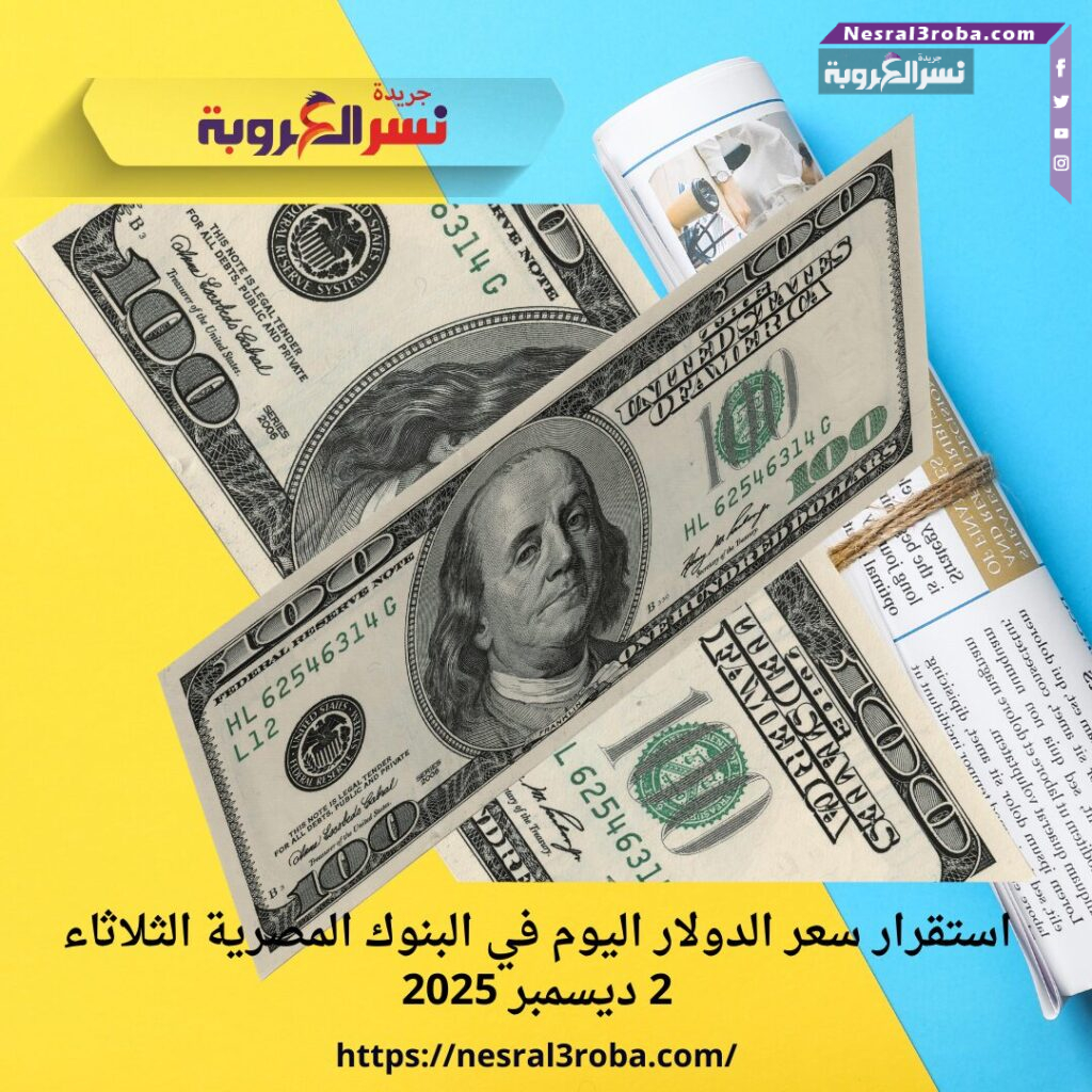 استقرار سعر الدولار اليوم في البنوك المصرية الثلاثاء 2 ديسمبر 2025