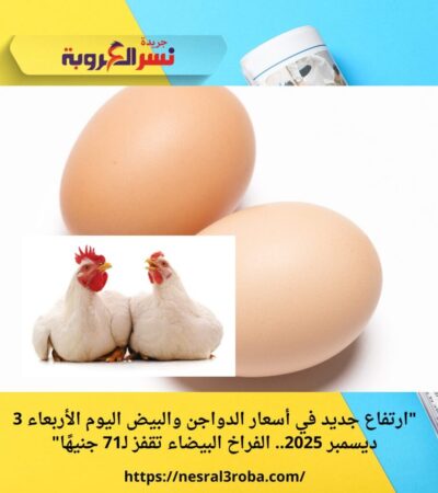 "ارتفاع جديد في أسعار الدواجن والبيض اليوم الأربعاء 3 ديسمبر 2025.. الفراخ البيضاء تقفز لـ71 جنيهًا"
