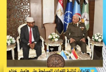 🤝 لقاءات ثنائية للقوات المسلحة على هامش ختام معرض إيديكس 2025