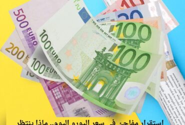 استقرار مفاجئ في سعر اليورو اليوم.. ماذا ينتظر الجنيه المصري خلال الساعات المقبلة؟