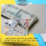 استقرار مفاجئ في سعر الريال السعودي اليوم.. ماذا ينتظر الجنيه المصري خلال الساعات القادمة؟