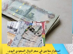 استقرار مفاجئ في سعر الريال السعودي اليوم.. ماذا ينتظر الجنيه المصري خلال الساعات القادمة؟