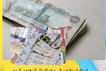 استقرار مفاجئ في سعر الريال السعودي اليوم.. ماذا ينتظر الجنيه المصري خلال الساعات القادمة؟