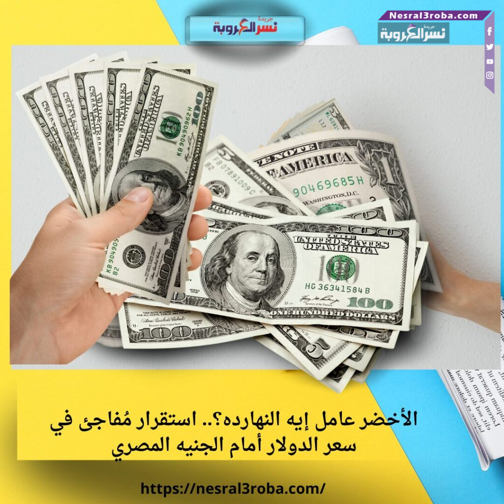 الأخضر عامل إيه النهارده؟.. استقرار مُفاجئ في سعر الدولار أمام الجنيه المصري 25 الأخضر عامل إيه النهارده؟.. استقرار مُفاجئ في سعر الدولار أمام الجنيه المصري