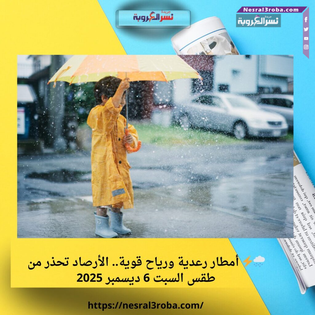 🌧️⚡ أمطار رعدية ورياح قوية.. الأرصاد تحذر من طقس السبت 6 ديسمبر 2025 25 🌧️⚡ أمطار رعدية ورياح قوية.. الأرصاد تحذر من طقس السبت 6 ديسمبر 2025