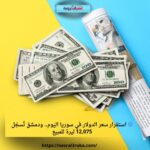 🔵 استقرار سعر الدولار في سوريا اليوم.. ودمشق تُسجّل 12,075 ليرة للمبيع