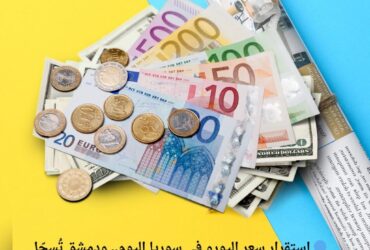 🔵 استقرار سعر اليورو في سوريا اليوم.. ودمشق تُسجّل 14,059 ليرة للمبيع