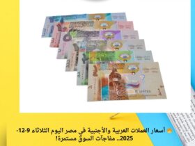 🔥 أسعار العملات العربية والأجنبية في مصر اليوم الثلاثاء 9-12-2025.. مفاجآت السوق مستمرة! 30 🔥 أسعار العملات العربية والأجنبية في مصر اليوم الثلاثاء 9-12-2025.. مفاجآت السوق مستمرة!