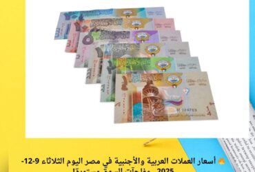 🔥 أسعار العملات العربية والأجنبية في مصر اليوم الثلاثاء 9-12-2025.. مفاجآت السوق مستمرة!