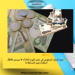 🔥 سعر الريال السعودي في مصر اليوم الثلاثاء 9 ديسمبر 2025.. استقرار يثير التساؤلات!