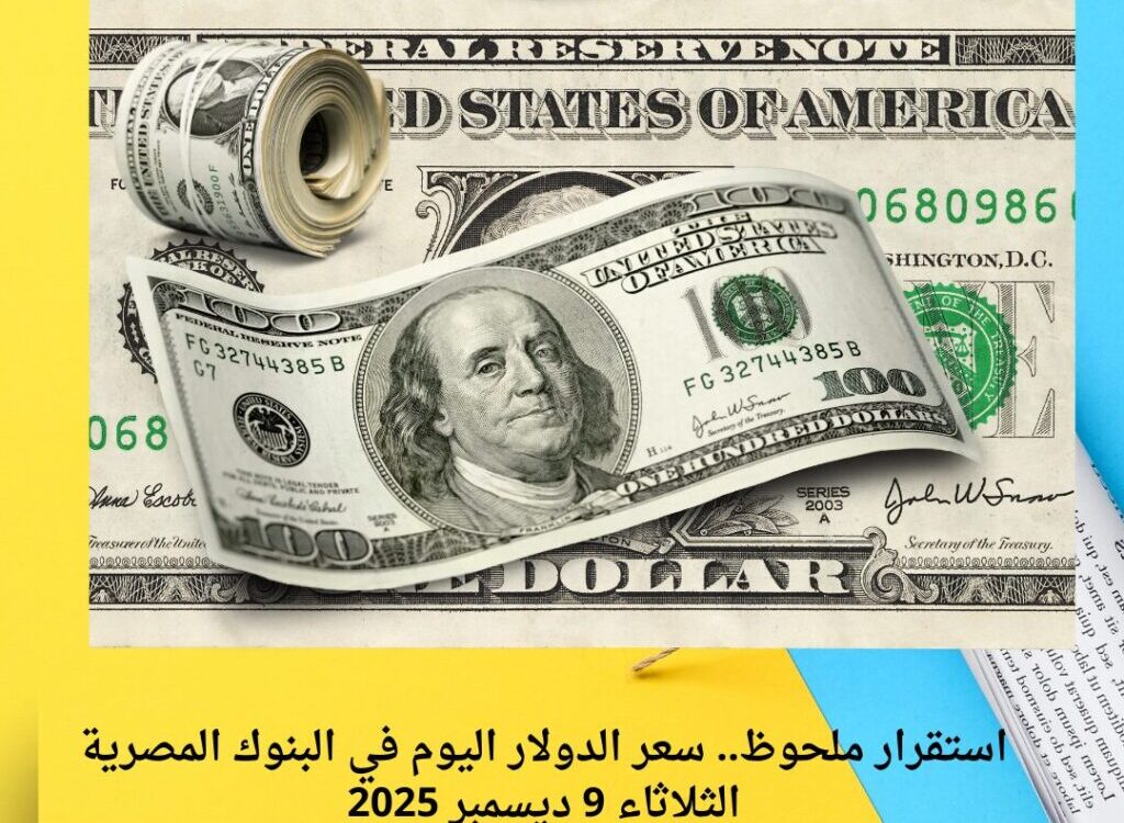 استقرار ملحوظ.. سعر الدولار اليوم في البنوك المصرية الثلاثاء 9 ديسمبر 2025