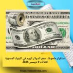 استقرار ملحوظ.. سعر الدولار اليوم في البنوك المصرية الثلاثاء 9 ديسمبر 2025
