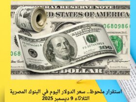 استقرار ملحوظ.. سعر الدولار اليوم في البنوك المصرية الثلاثاء 9 ديسمبر 2025 30 استقرار ملحوظ.. سعر الدولار اليوم في البنوك المصرية الثلاثاء 9 ديسمبر 2025