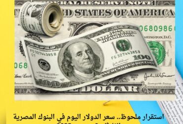 استقرار ملحوظ.. سعر الدولار اليوم في البنوك المصرية الثلاثاء 9 ديسمبر 2025