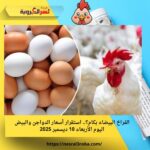 الفراخ البيضاء بكام؟.. استقرار أسعار الدواجن والبيض اليوم الأربعاء 10-12-2025