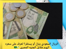 الريال السعودي ينزل أو يستقر؟ تعرف على سعره اليوم مقابل الجنيه المصري 💸🇸🇦 30 الريال السعودي ينزل أو يستقر؟ تعرف على سعره اليوم مقابل الجنيه المصري 💸🇸🇦
