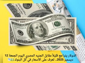 الدولار يتراجع قليلاً مقابل الجنيه المصري اليوم الجمعة 12 ديسمبر 2025.. تعرف على الأسعار في كل البنوك 💵📉