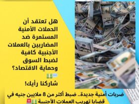 ضربات أمنية جديدة.. ضبط أكثر من 8 ملايين جنيه في قضايا تهريب العملات الأجنبية 💵🚨