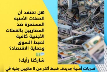 ضربات أمنية جديدة.. ضبط أكثر من 8 ملايين جنيه في قضايا تهريب العملات الأجنبية 💵🚨
